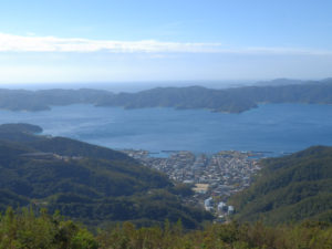 高知山から見た古仁屋の町の全景